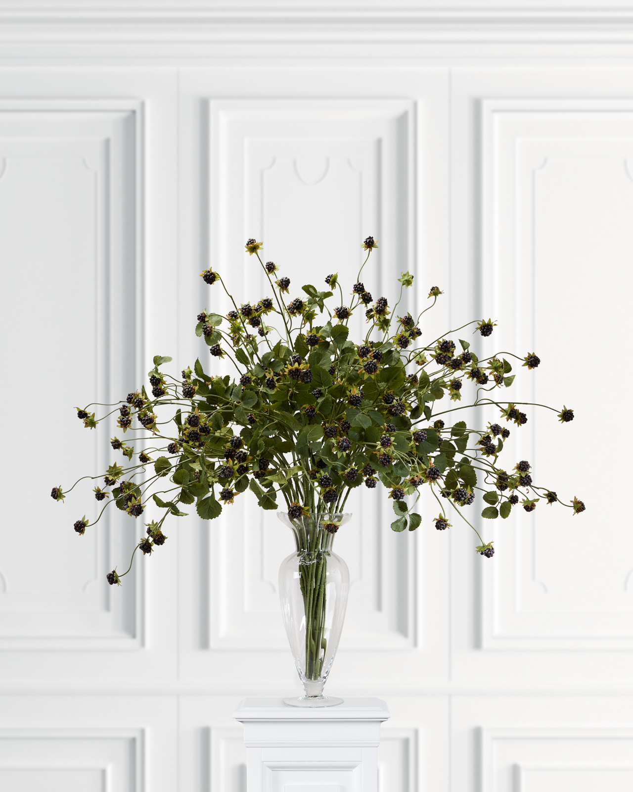Black blackberry branch cut flower