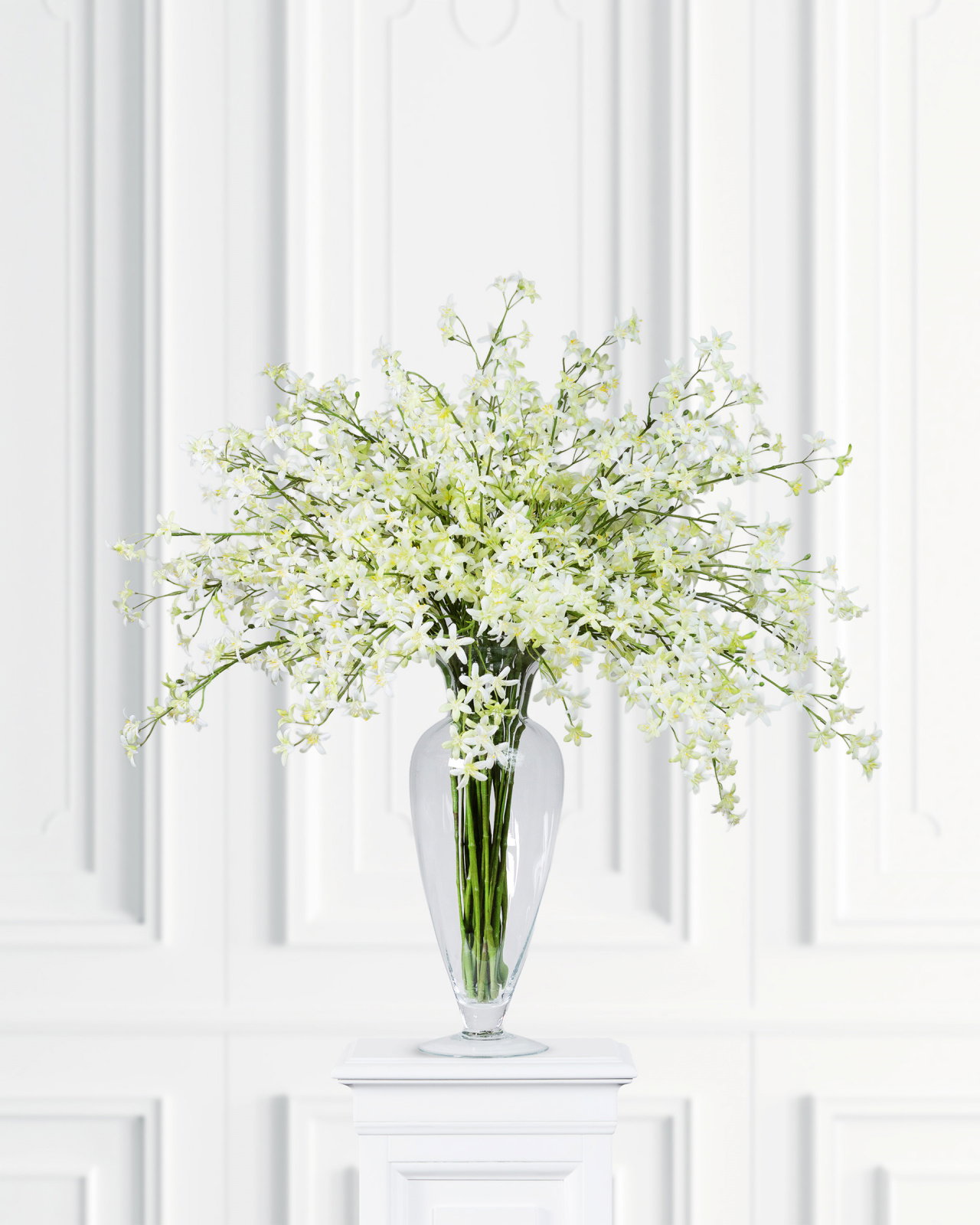 Saxifraga snittblomma vit