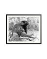 In Bed with Cardinale Black / XXL