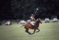 Polo Prince