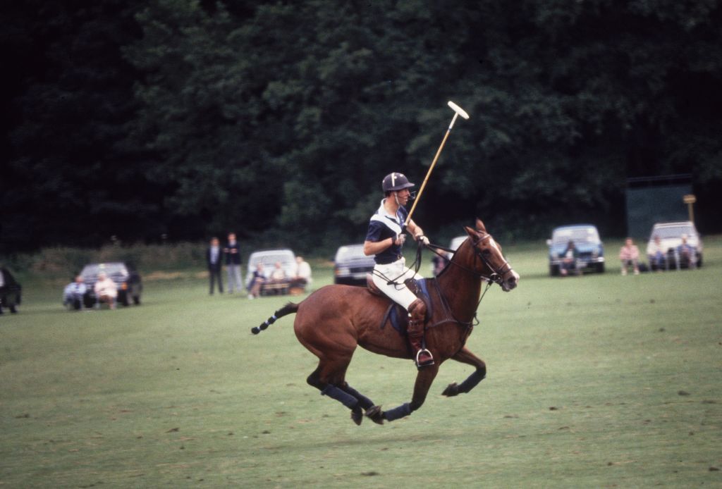 Polo Prince