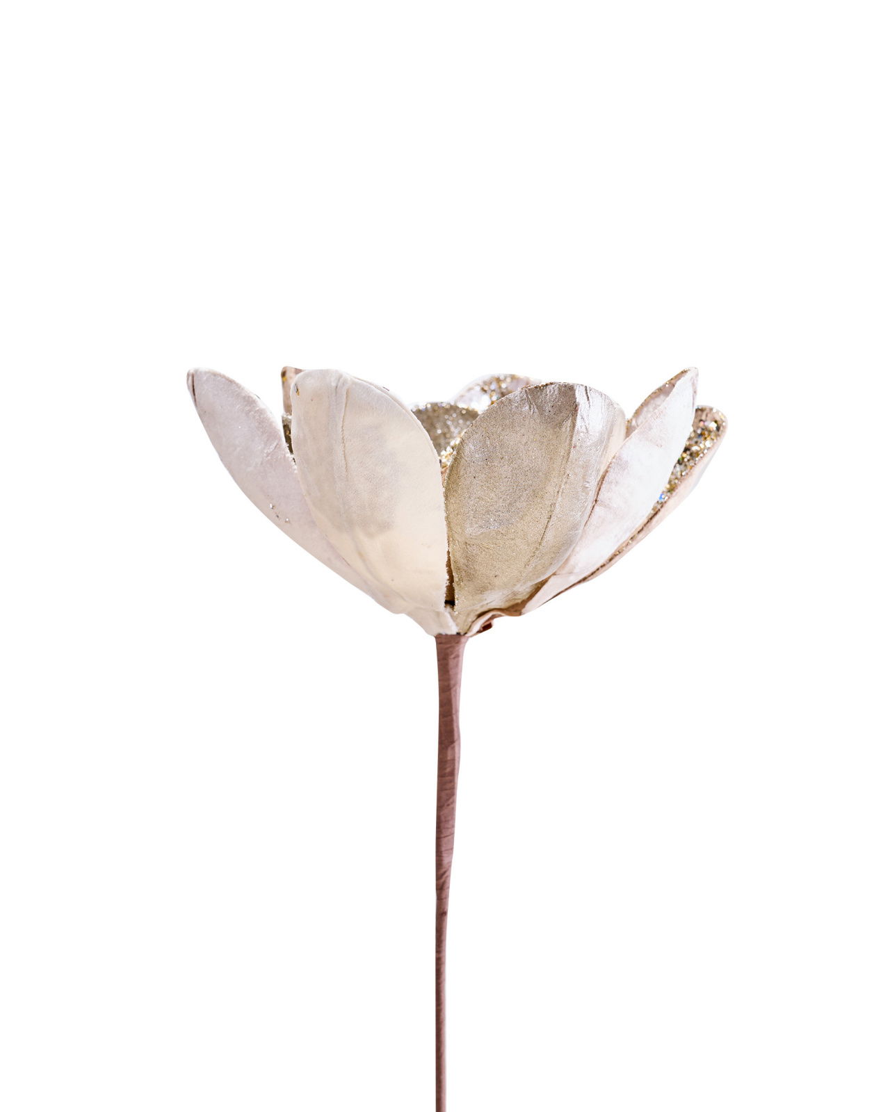 Magnolia decoratietak champagne