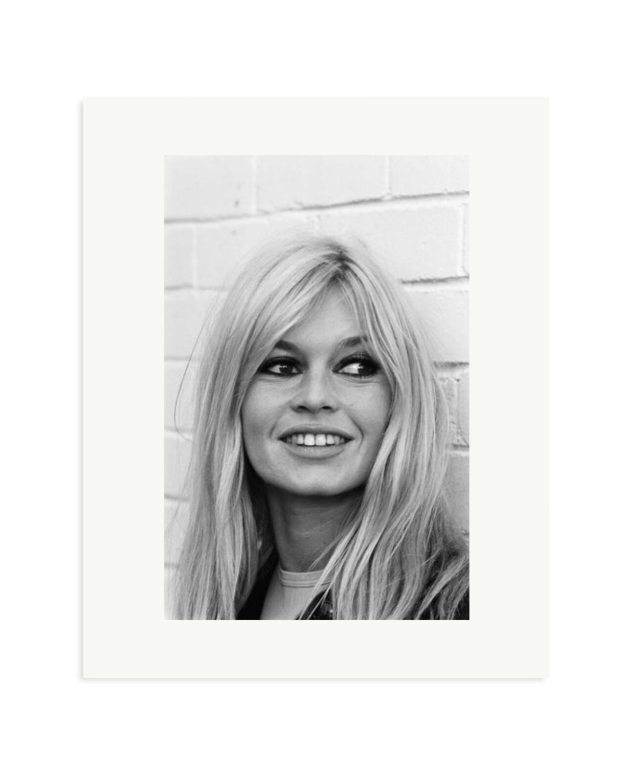 Bardot at London Zoo Print Only / Medium