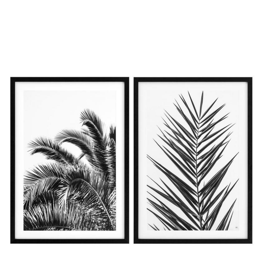 palm-leaves-newport