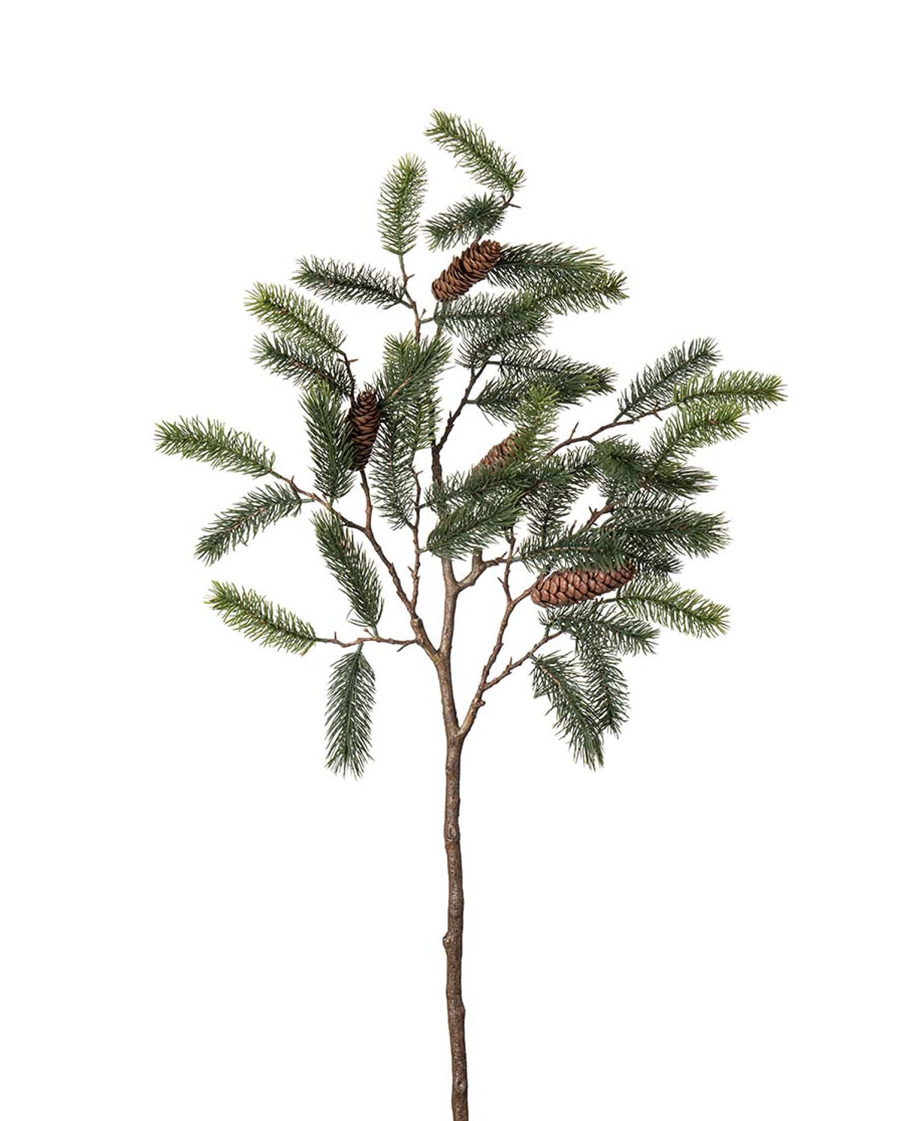 Tannenzweig mit Zapfen, Schnittblume, grün