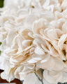 Hydrangeas -lahjasetti