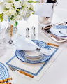 Regatta Placemat White/Blue