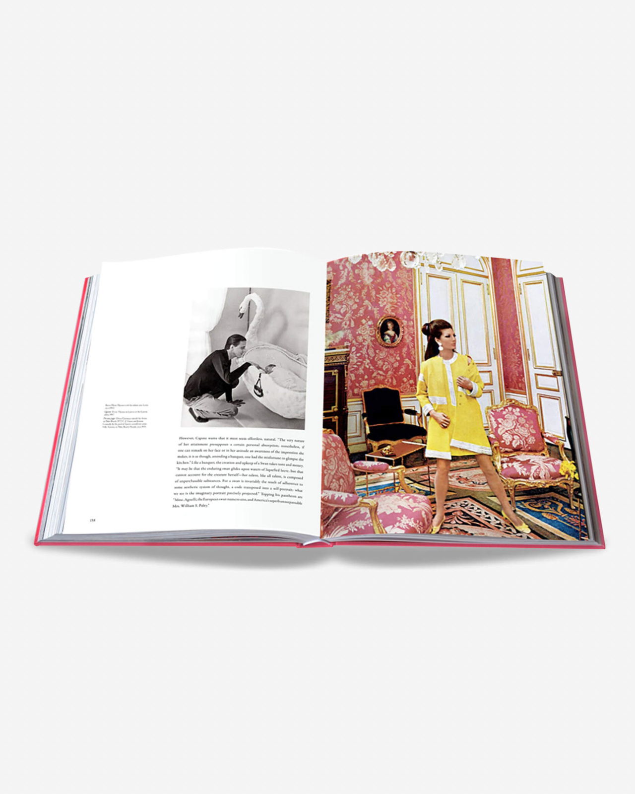 SWANS - Legends Of The Jet Society