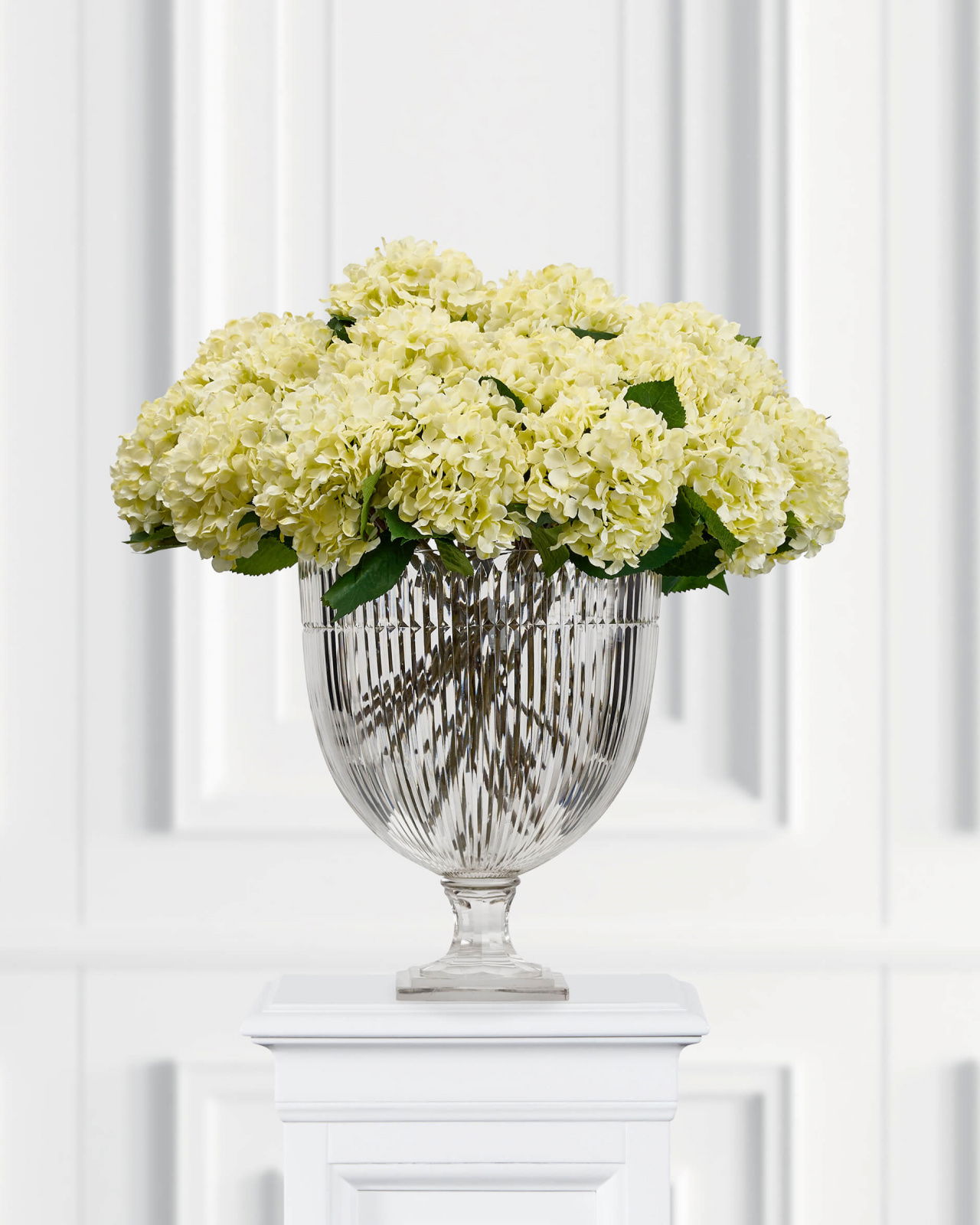 Hydrangea Cut Flower White