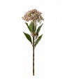 Berry Branch Cut Flower Dark Pink