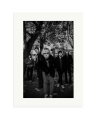 Cage The Elephant Print Only / XL