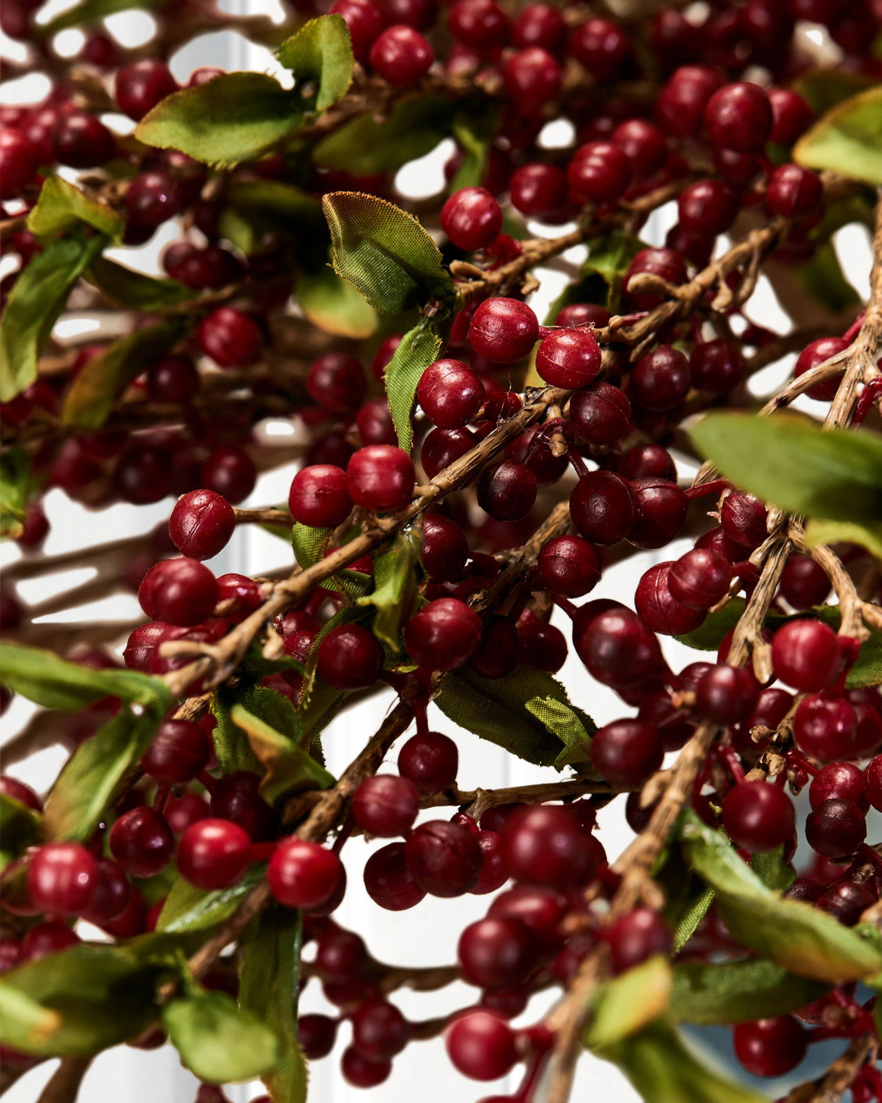 Marjaoksa leikkokukka punainen