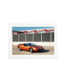 Maserati Bora White / XXL