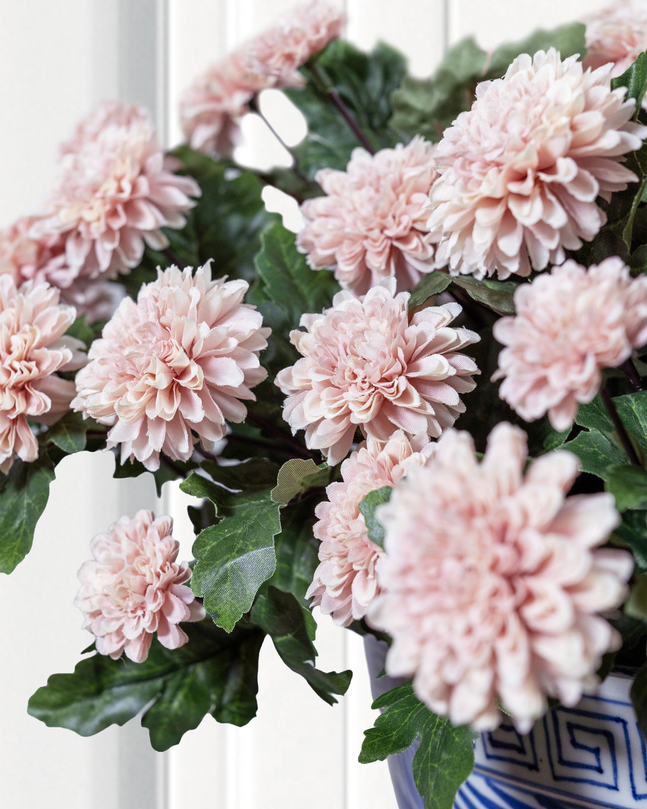 Krysantemum krukväxt rosa