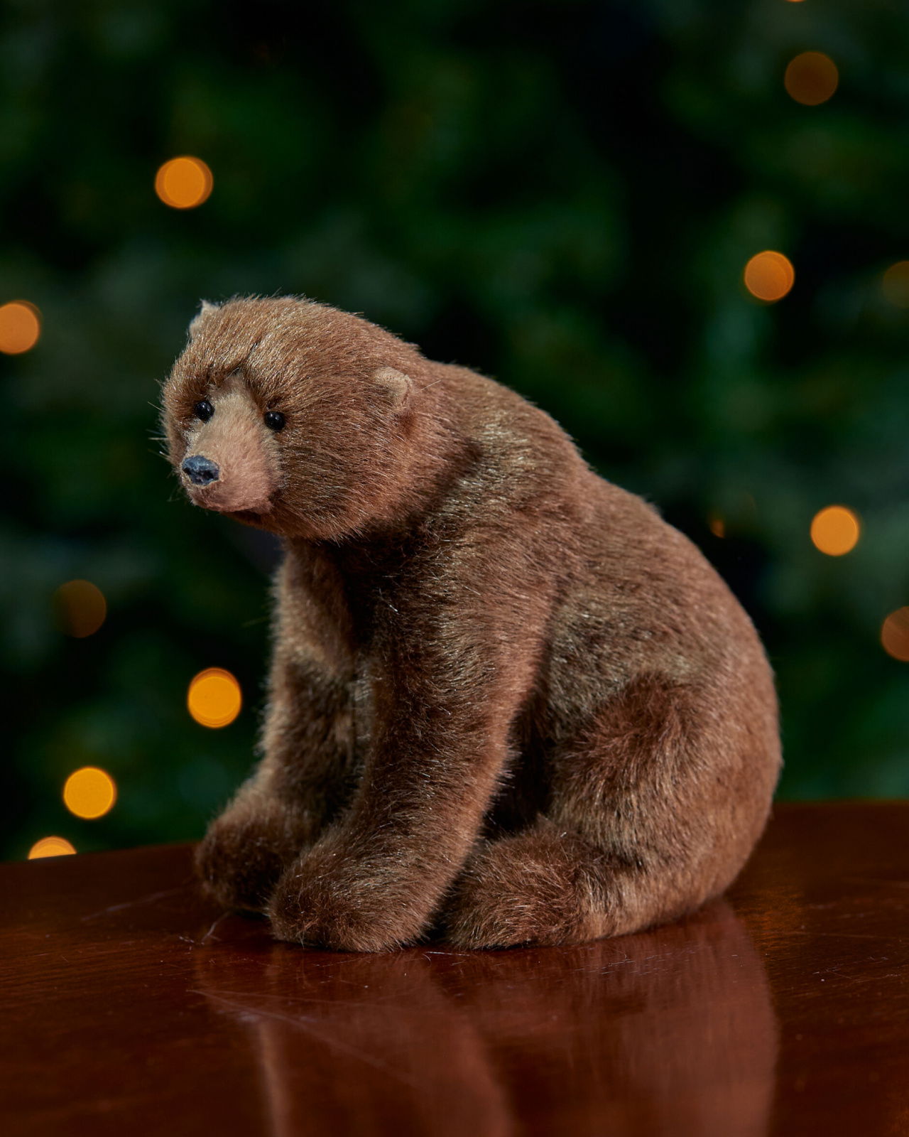 Leopold karhu koriste