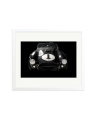 Shelby Cobra White / Large