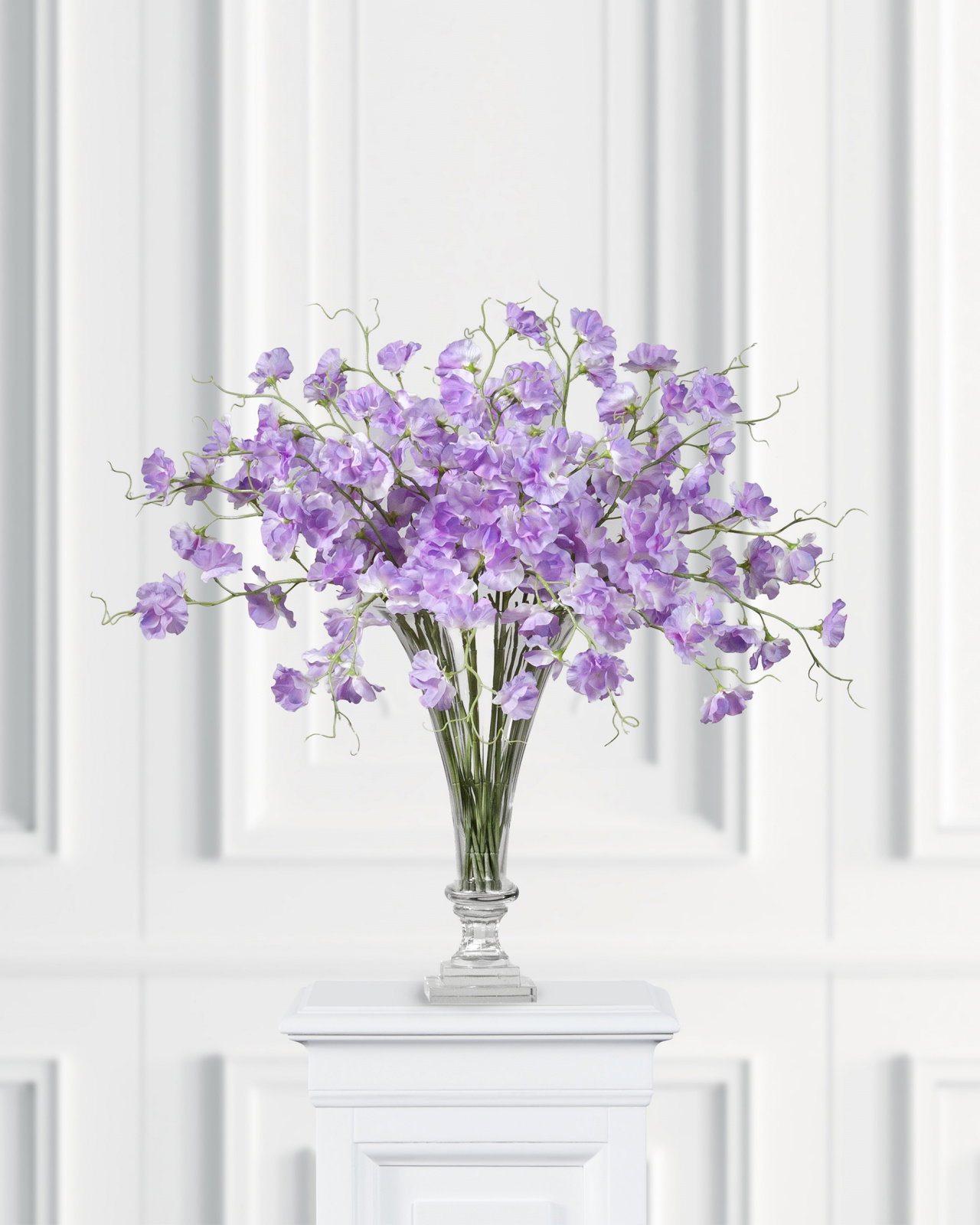 Sweet Pea Cut Flower Purple