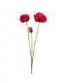Poppy Cut Flower Red OUTLET