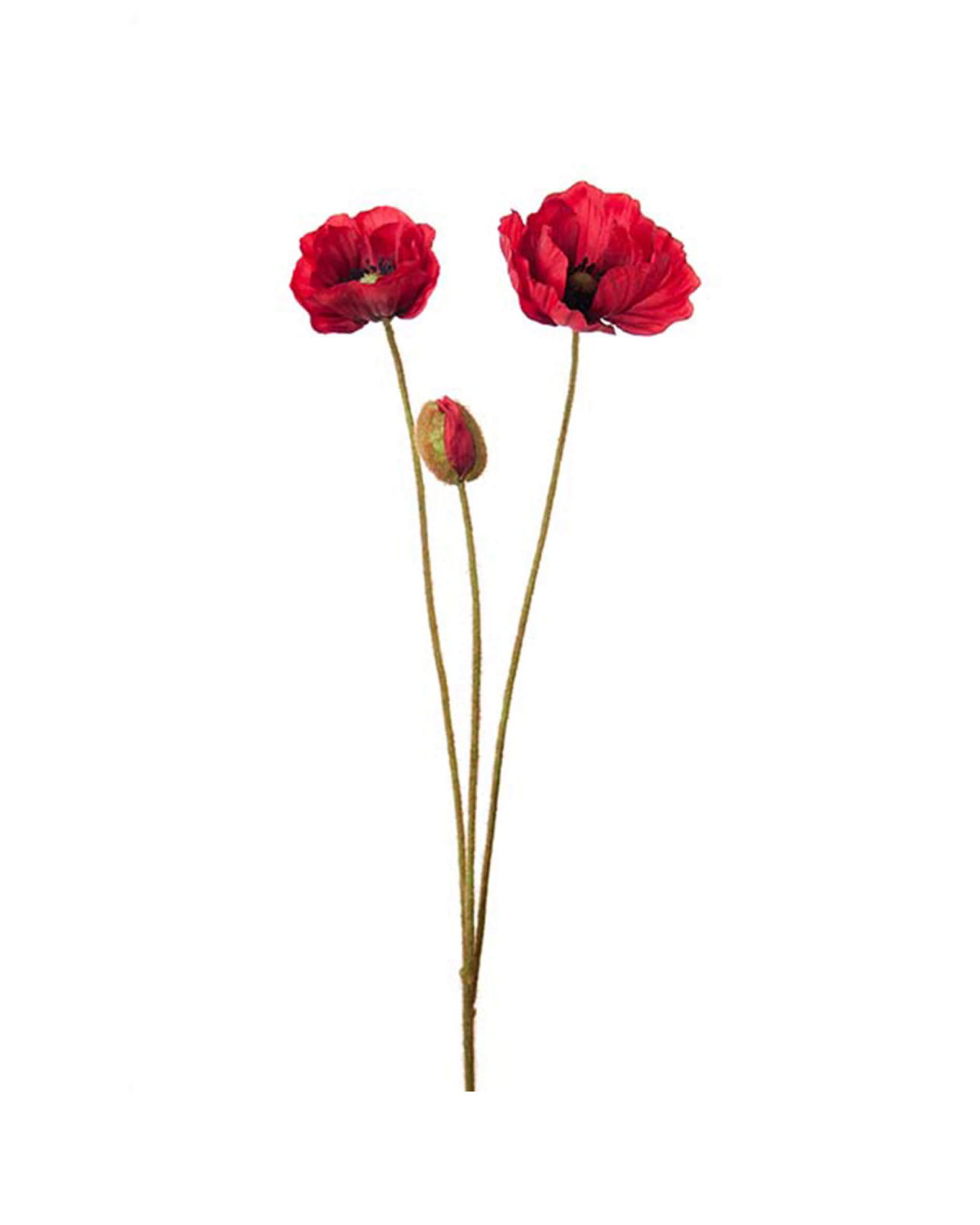 Poppy Cut Flower Red OUTLET