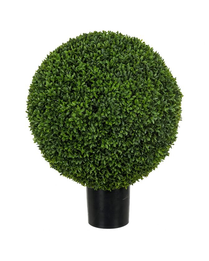 Buxbom konstväxt grön