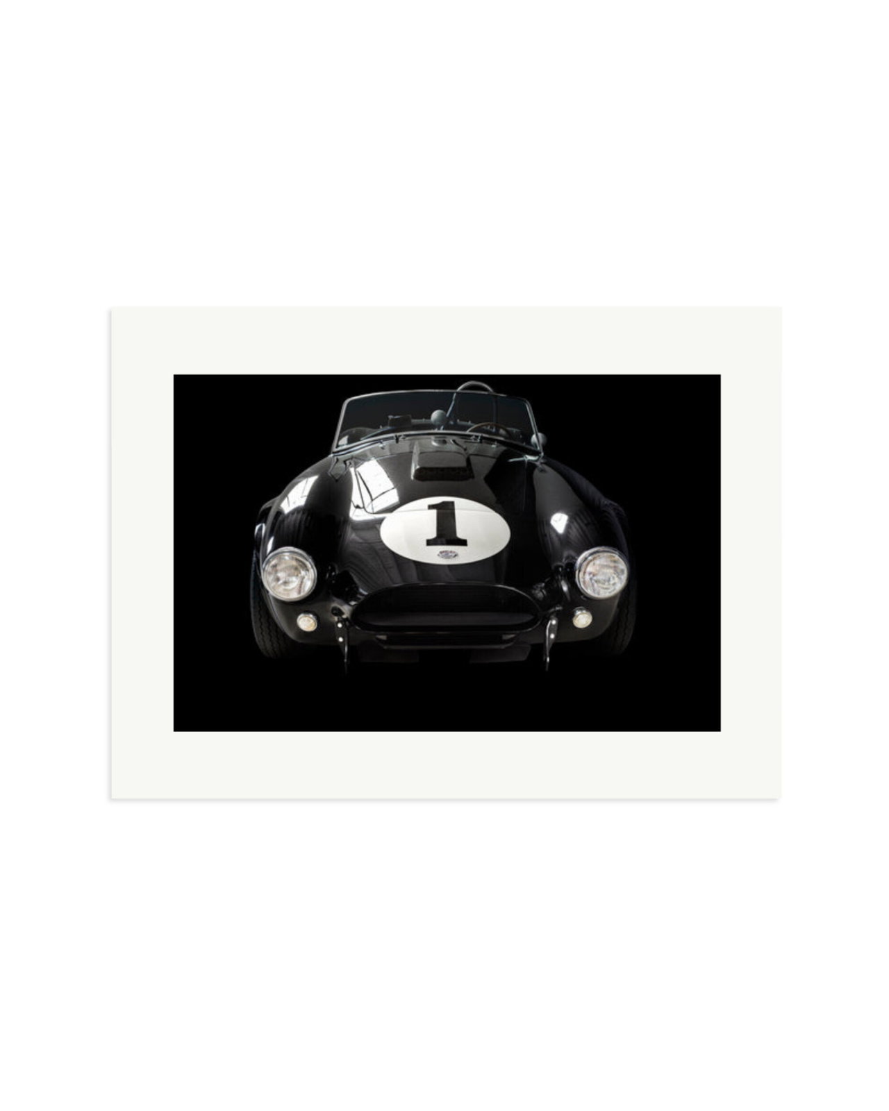 Shelby Cobra Print Only / XL