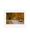 356 Porsche Print Only / Medium