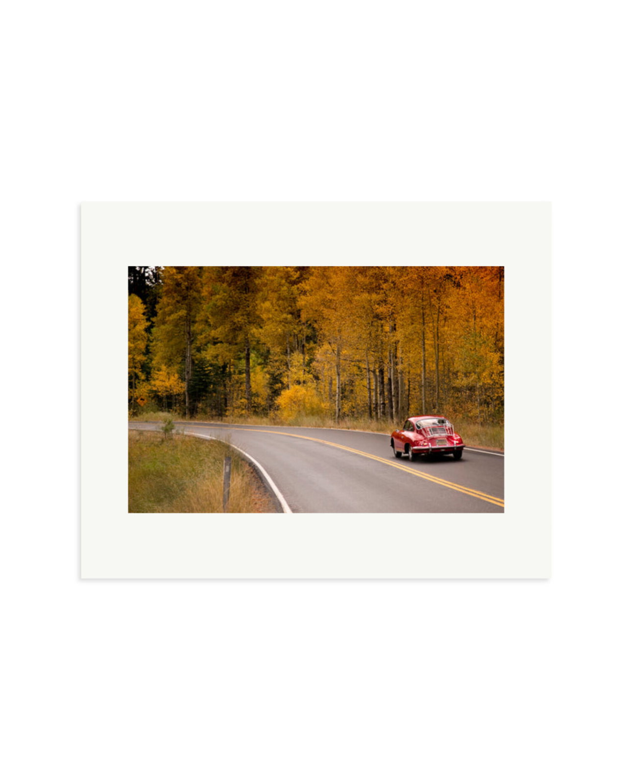 356 Porsche Print Only / Medium
