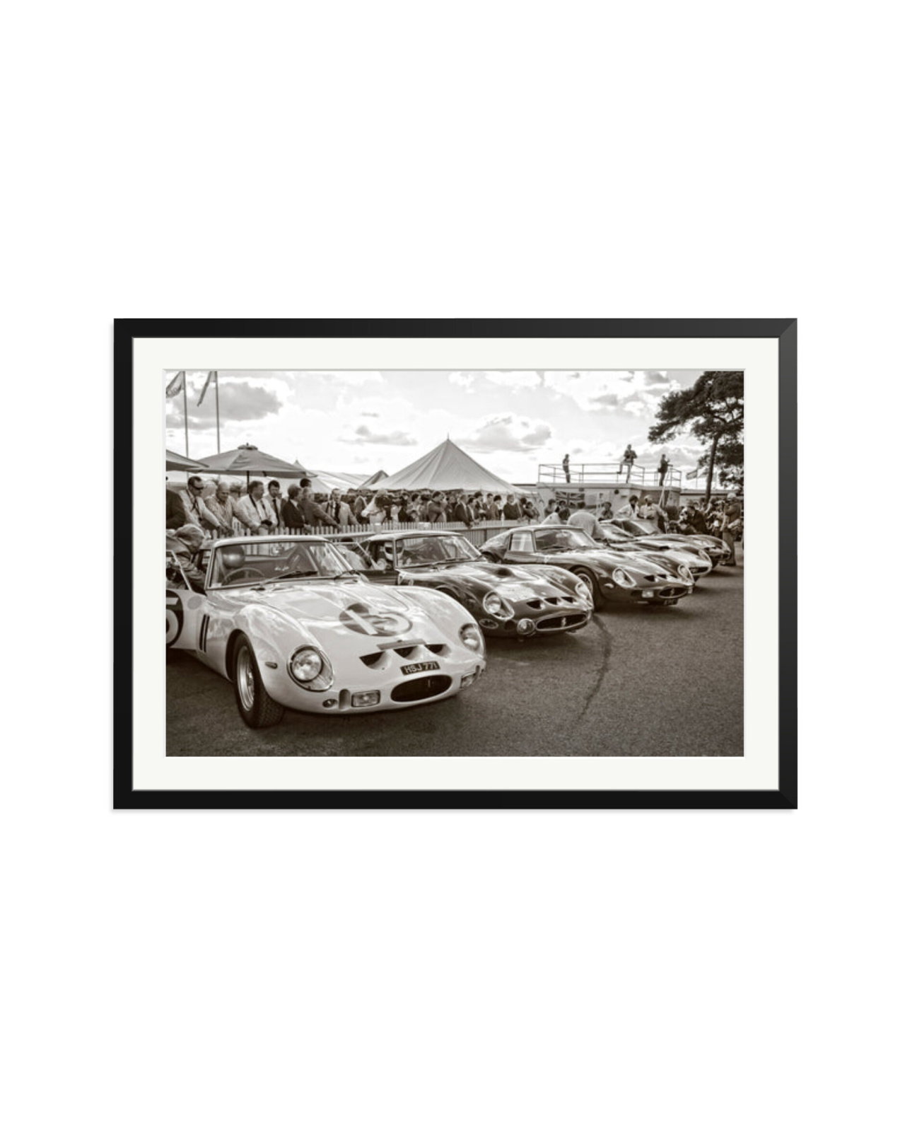 Goodwood Revival Ferarri 250 GTO's Black / XXL