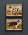 Hunt dogs 2-set