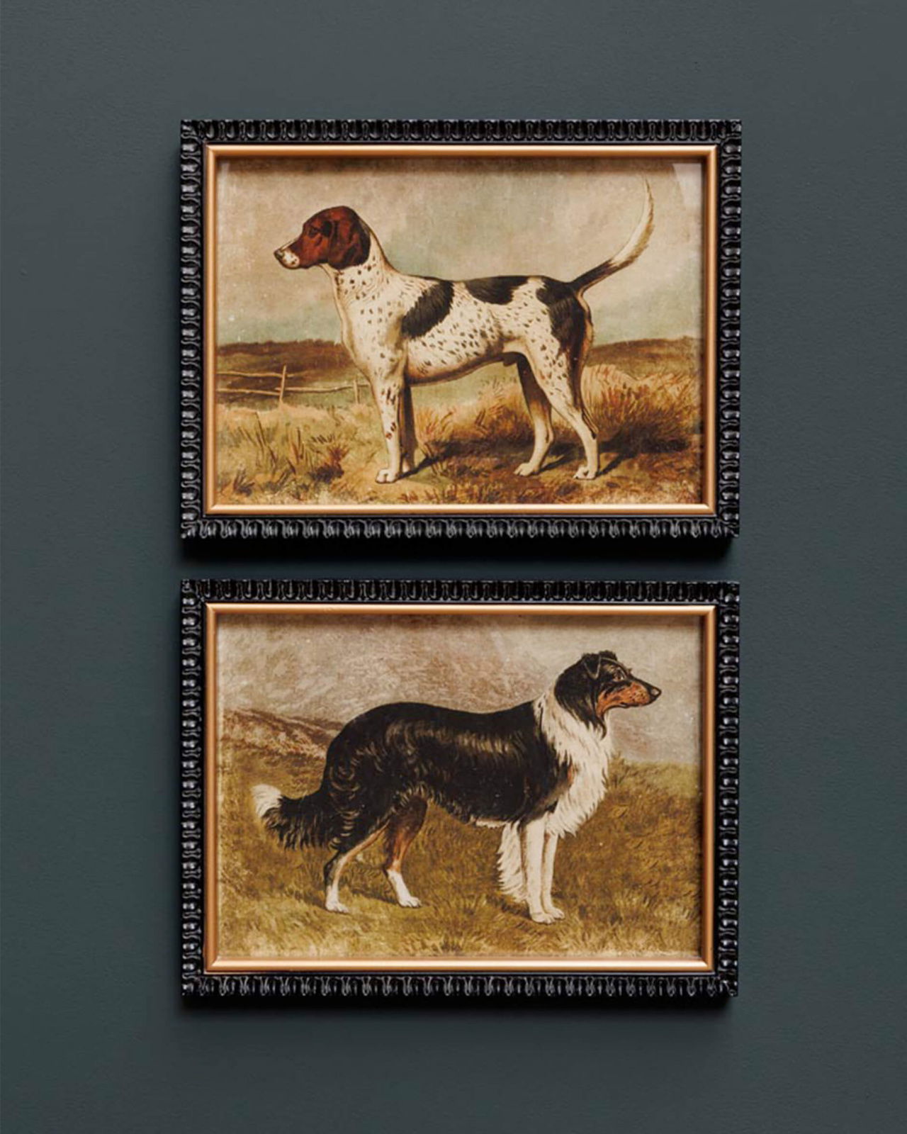 Hunting dogs 2-set