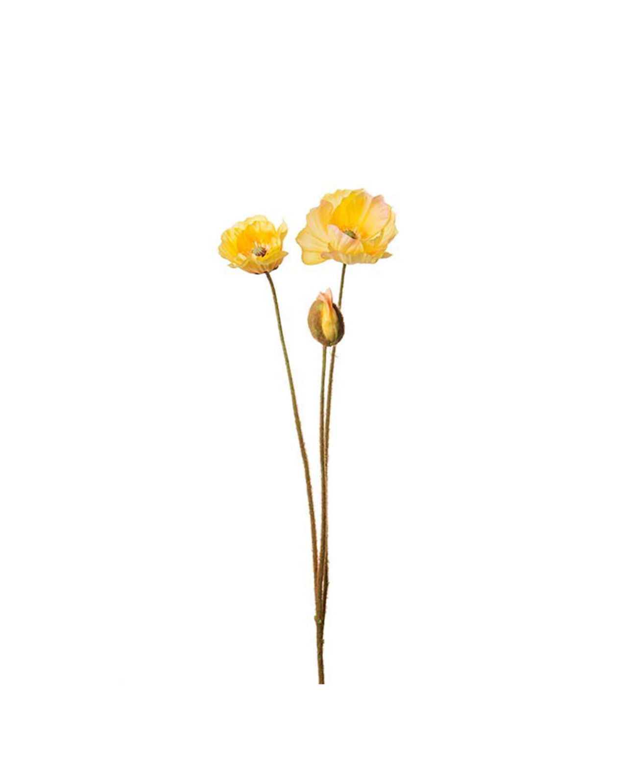 Poppy Cut Flower Yellow OUTLET