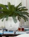 Cycas palm kunstboom