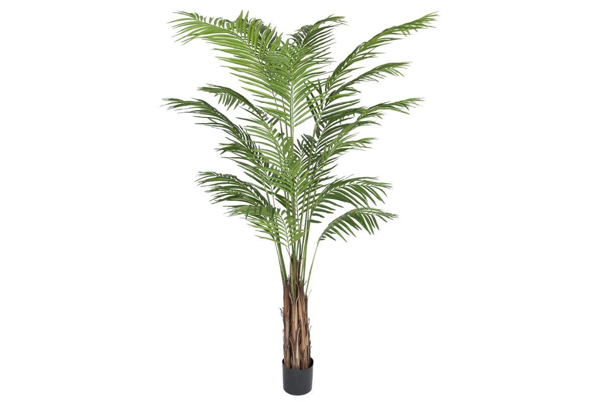 Areca Palm konstväxt grön
