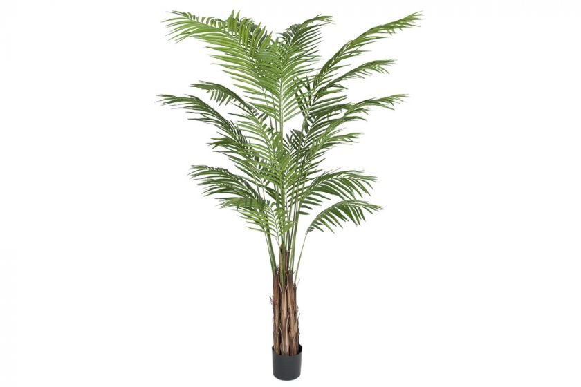 Areca Palm konstväxt
