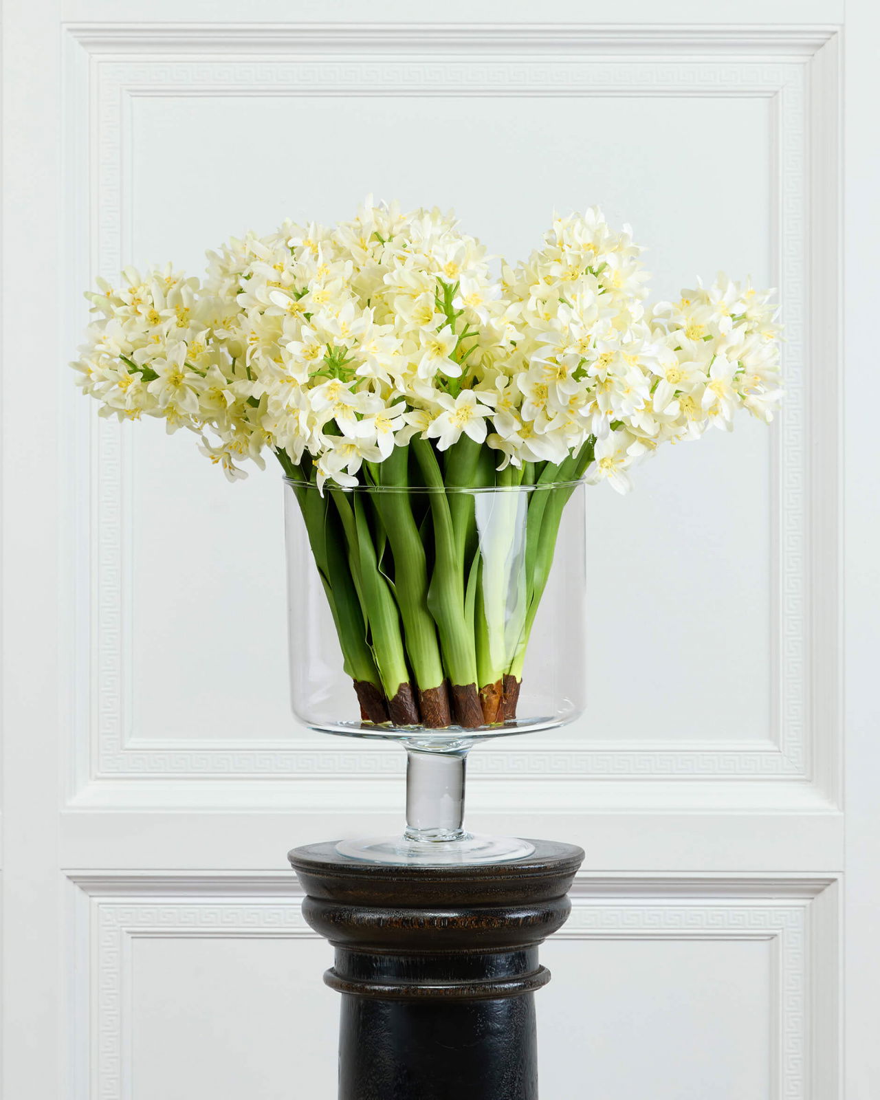 Hyacinth Cut Flower White