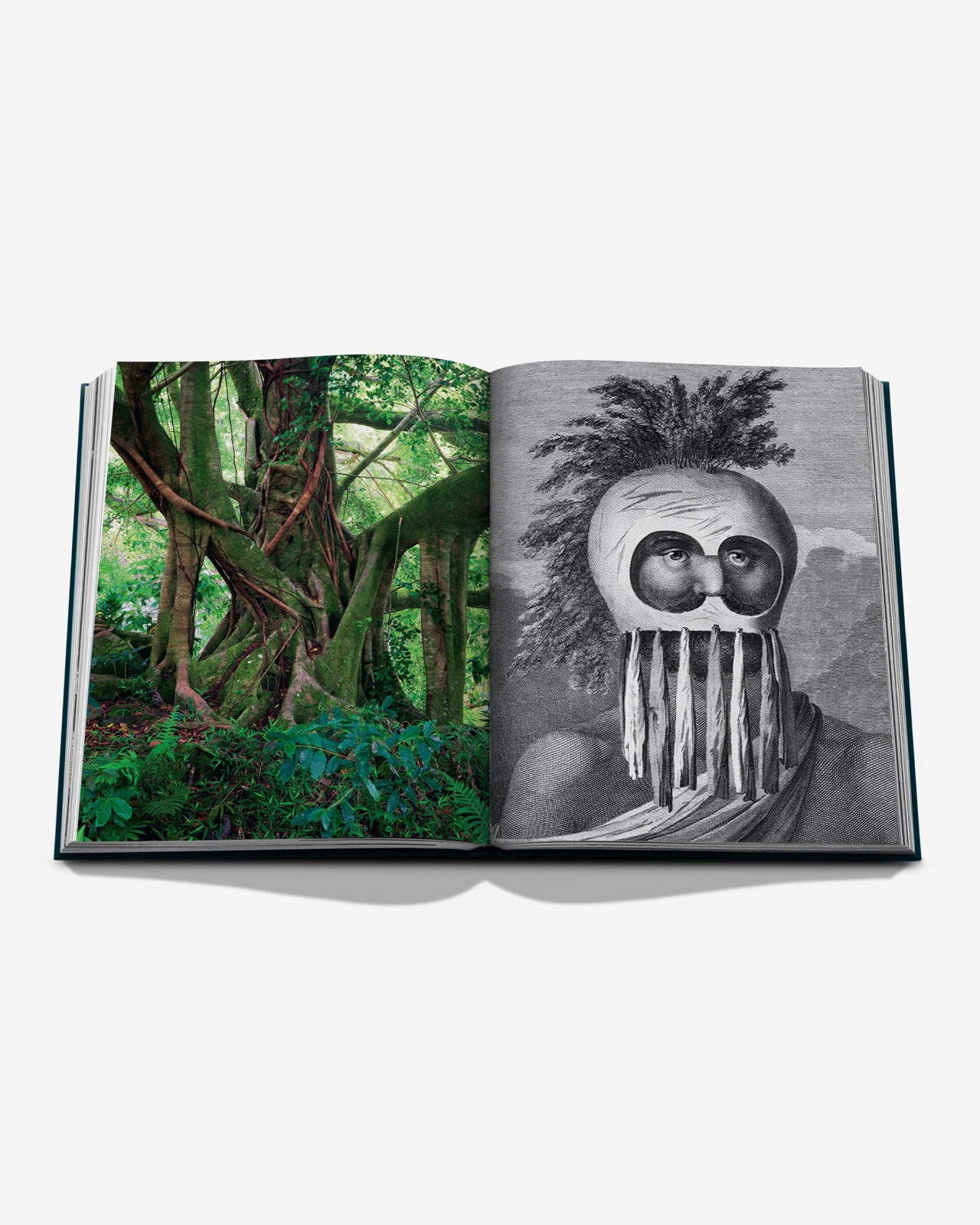 Travel Books Pacific Islands