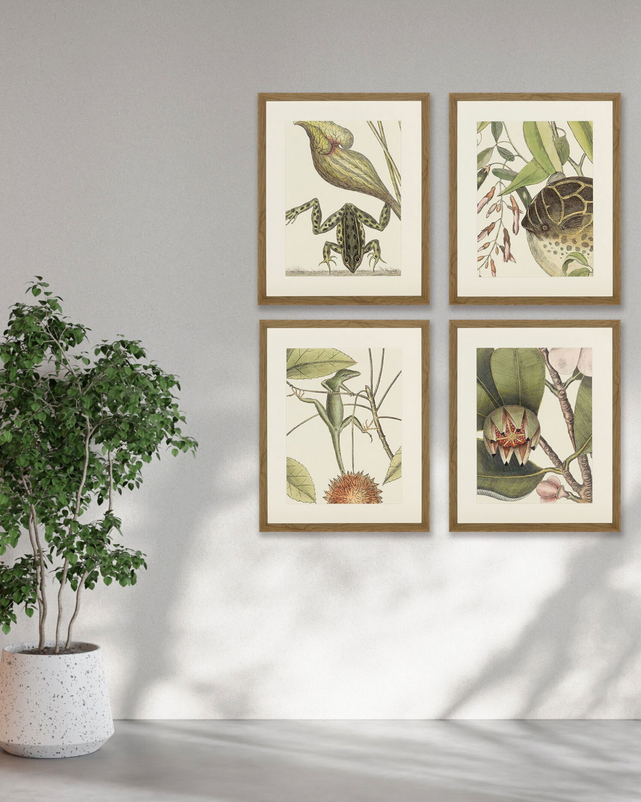 Frog, Balsam, Lizard, Fish (set of 4)