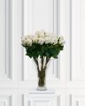 Rose Bouquet White
