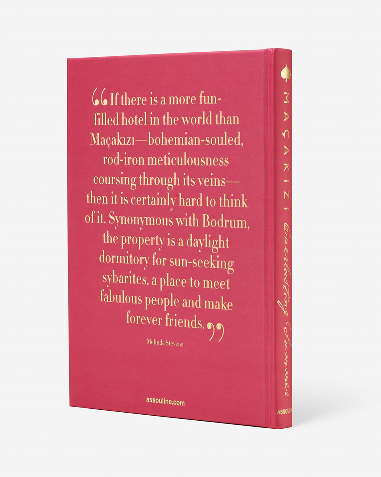 Maçakizi: Everlasting Summer