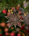 León Star Ornament Gold