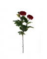 Chrysanthemum cut flower burgundy