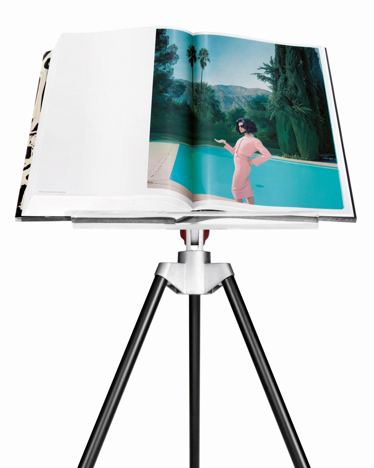 Annie Leibovitz: The Collector’s Edition (David Byrne) SUMO