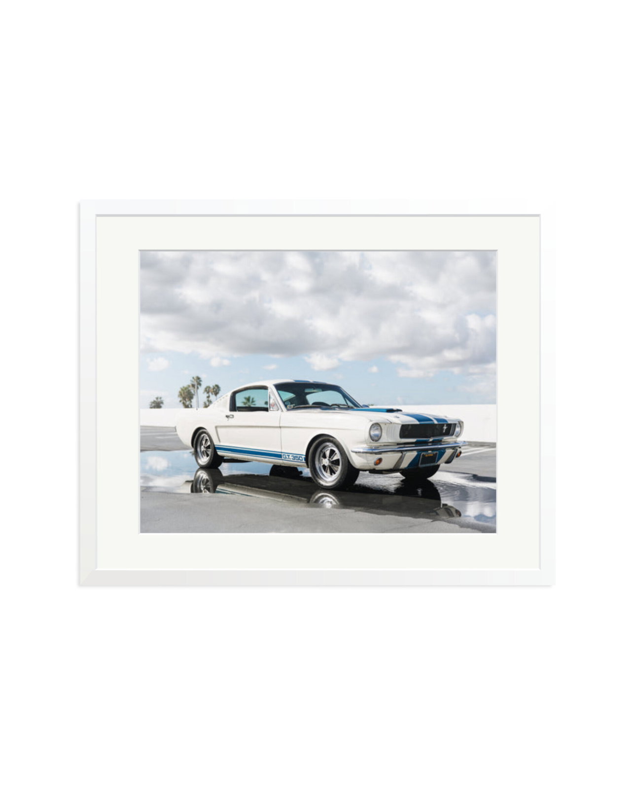 Ford Mustang Shelby GT350 White / XL