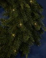 Spruce Wreath Lights 65cm