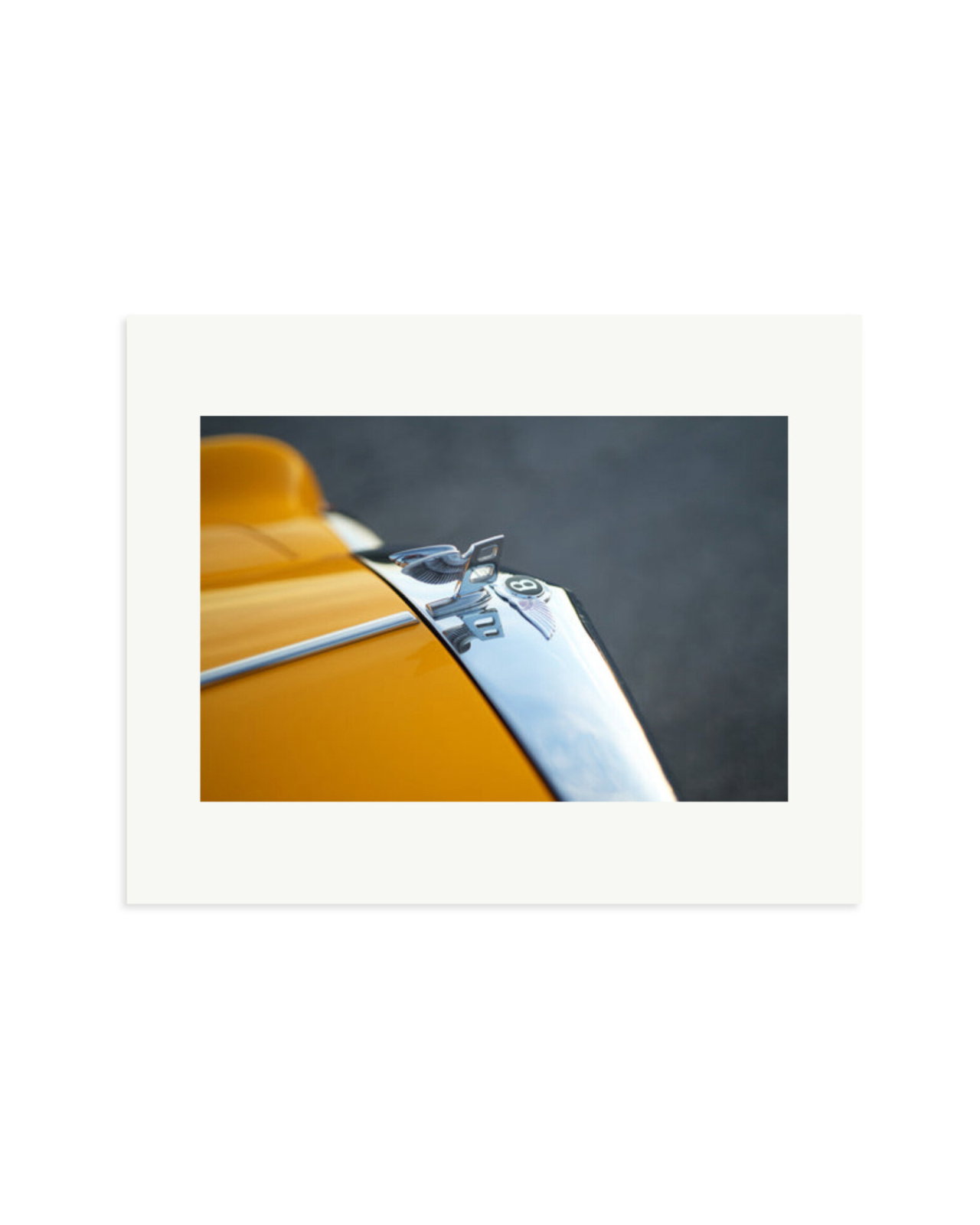 Bentley Continental Print Only / Medium