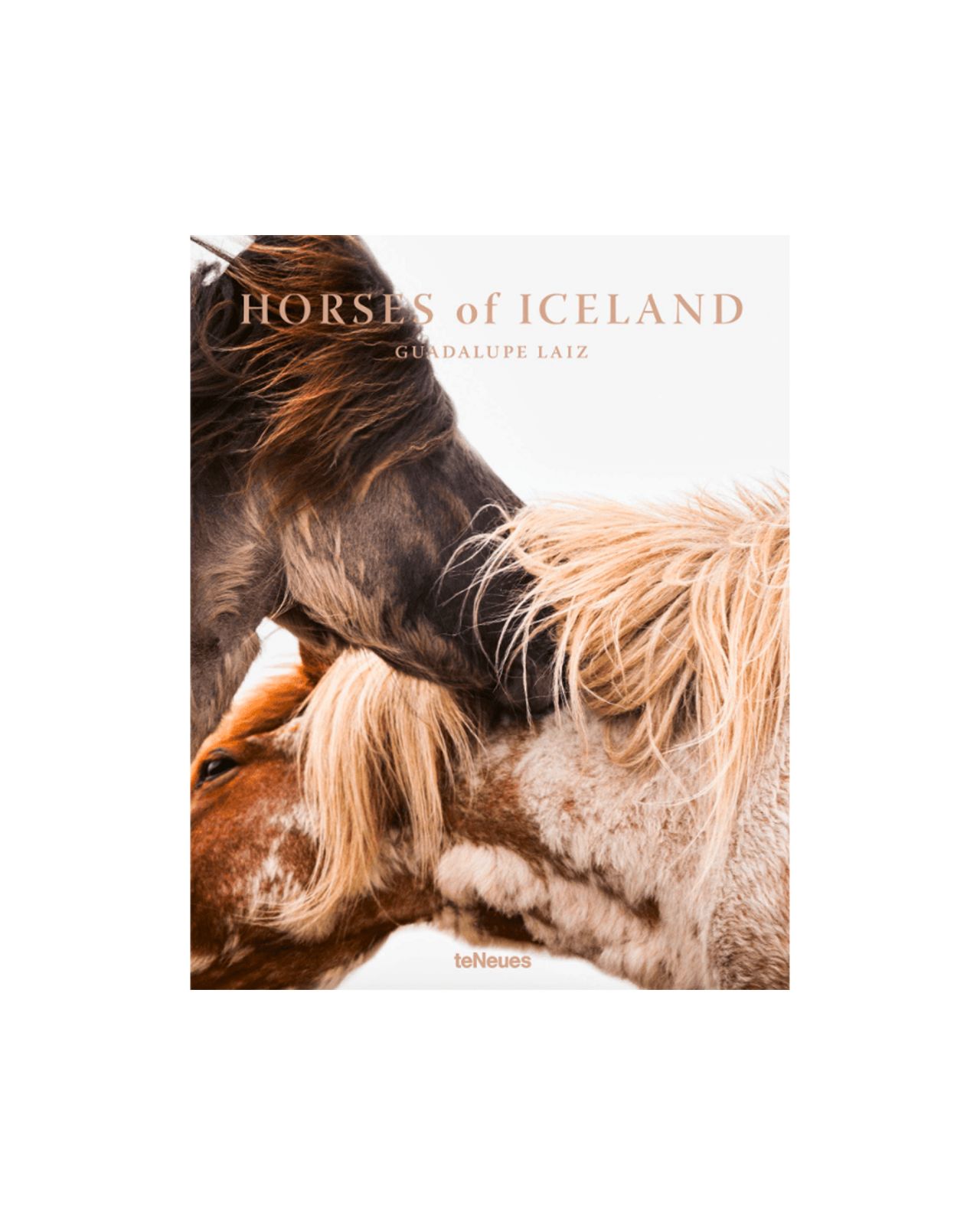 Horses of Iceland