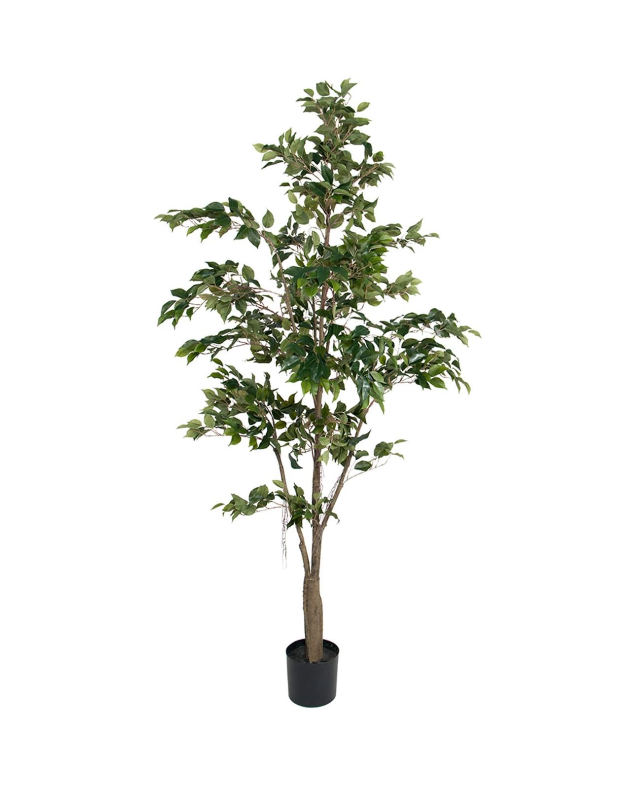 Benjamin Ficus Artificial Tree Green