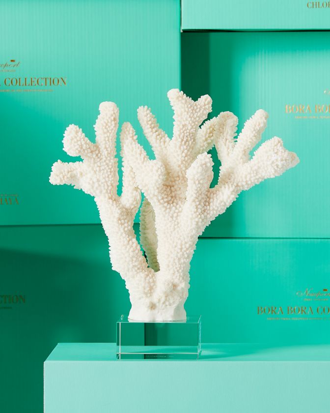 White Decorative Coral