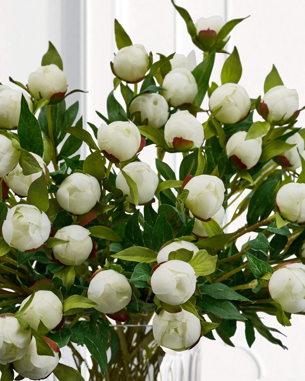 Pæon – afskåret blomst i hvid