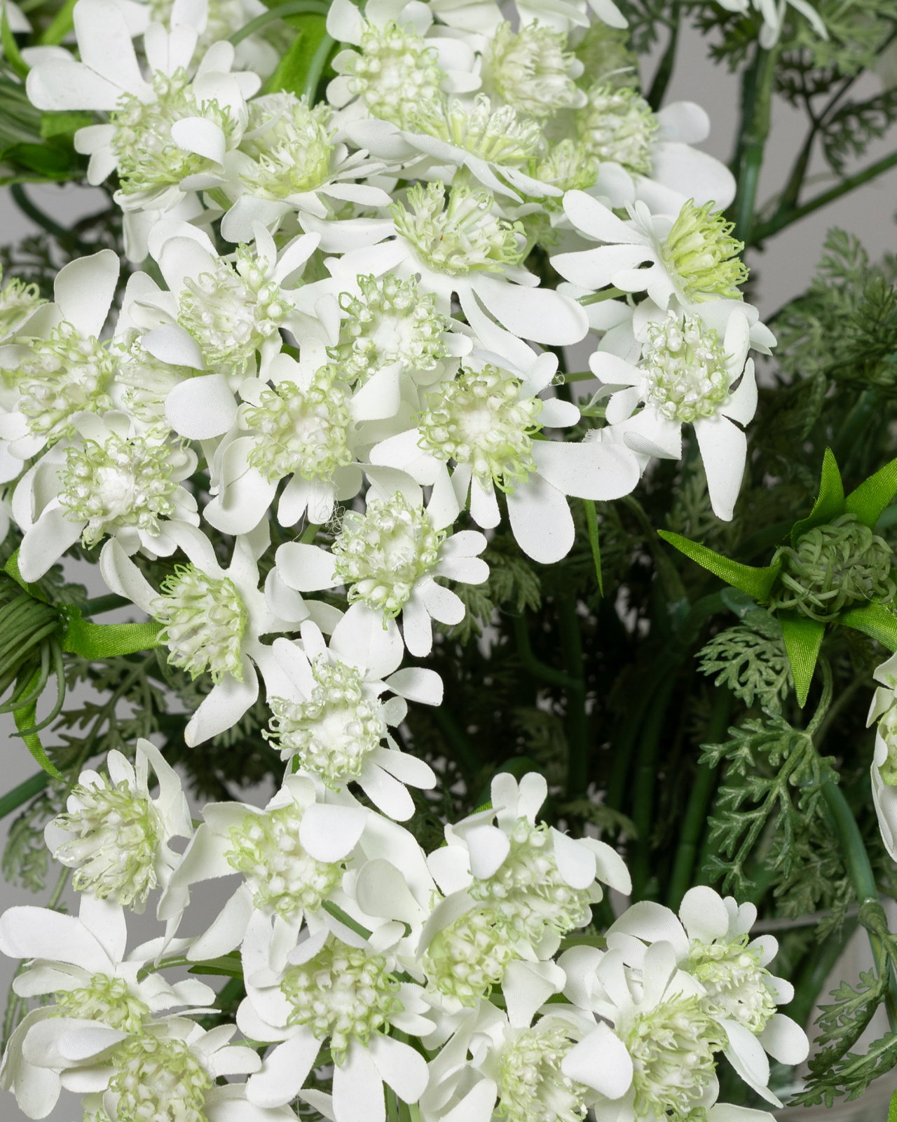 Blomsterkörvel vit